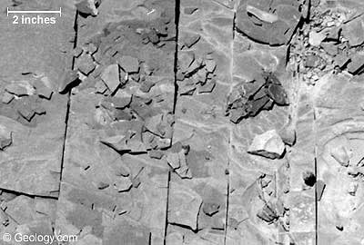 photomicrograph of the Marcellus Shale